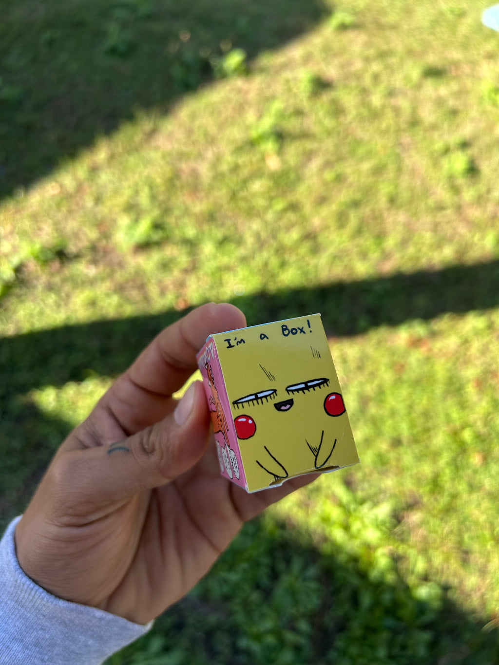 MINI POKEDERP BOX GEN 1