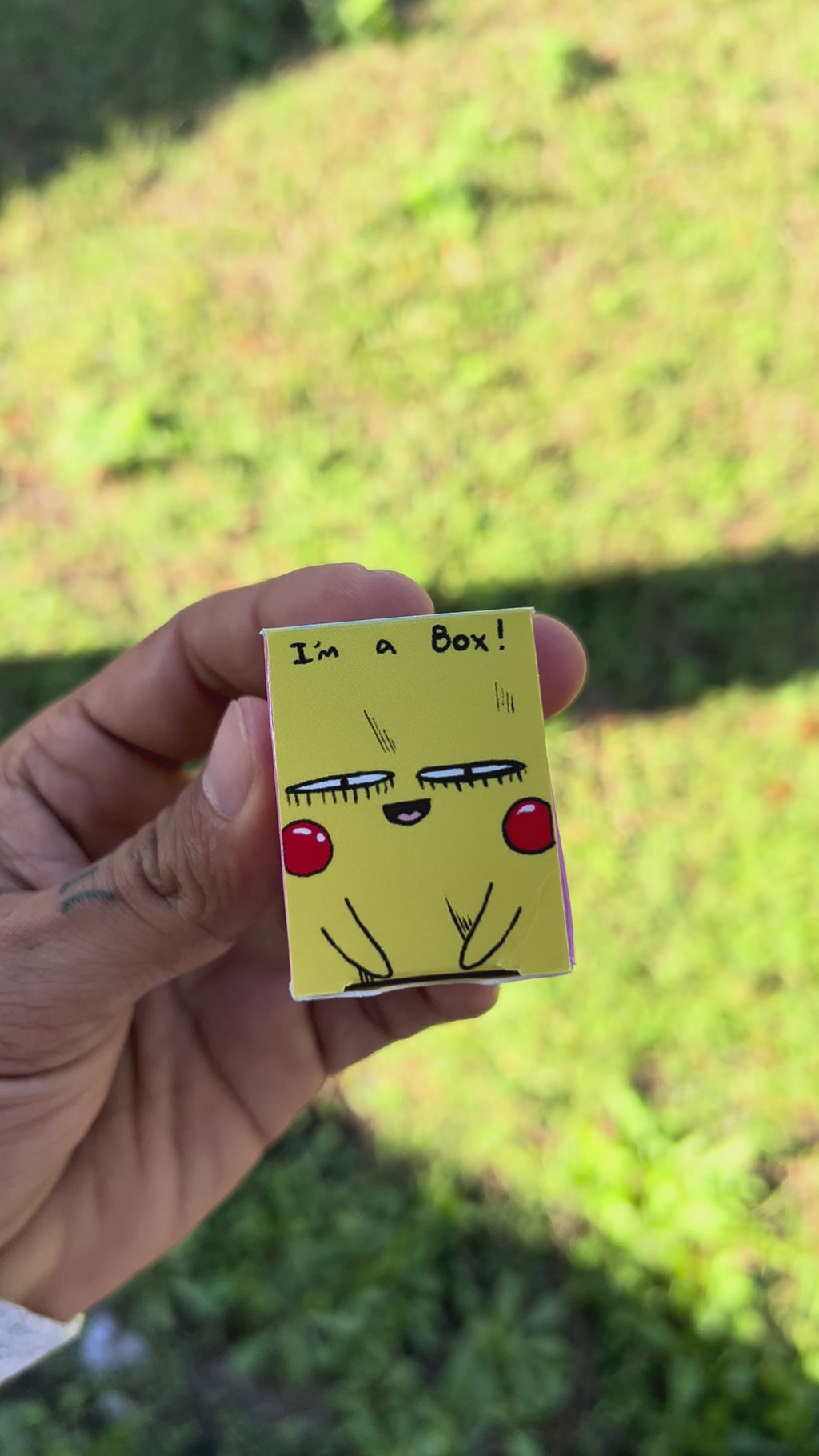 MINI POKEDERP BOX GEN 1