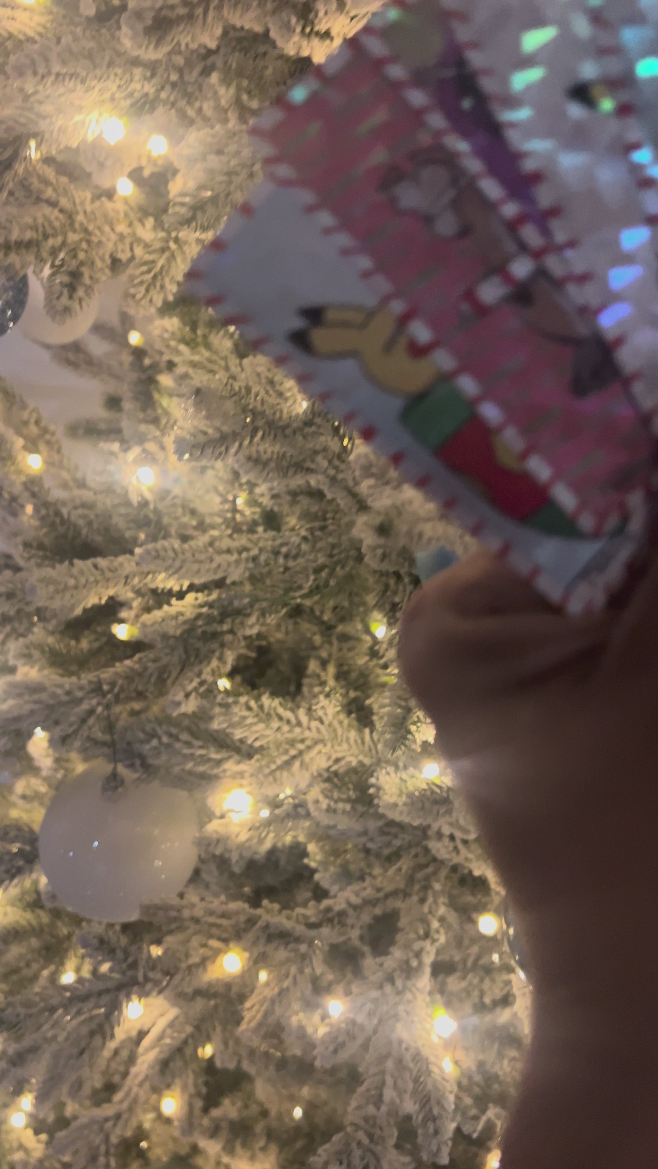 POKEDERP Christmas Limited Set